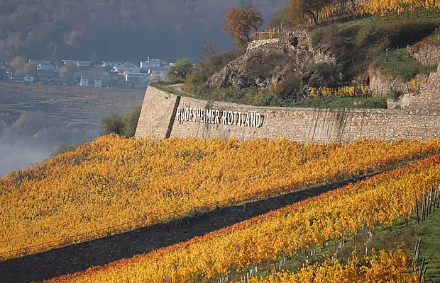 Weinverkostung im Weingut Dr. Nägler