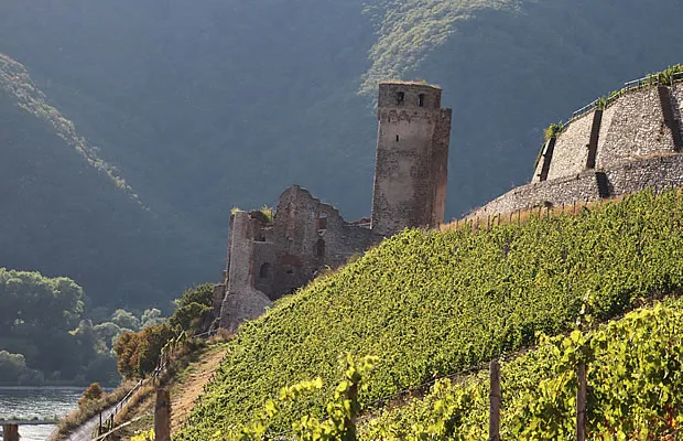 Rüdesheimer Berg mit Blick auf den Rhein