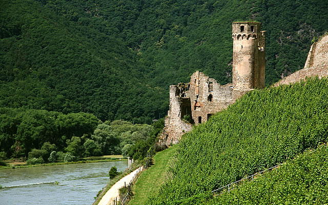 Rüdesheimer Berg Schlossberg