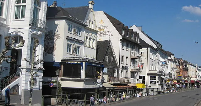 Rüdesheim am Rhein mit Weinbergen
